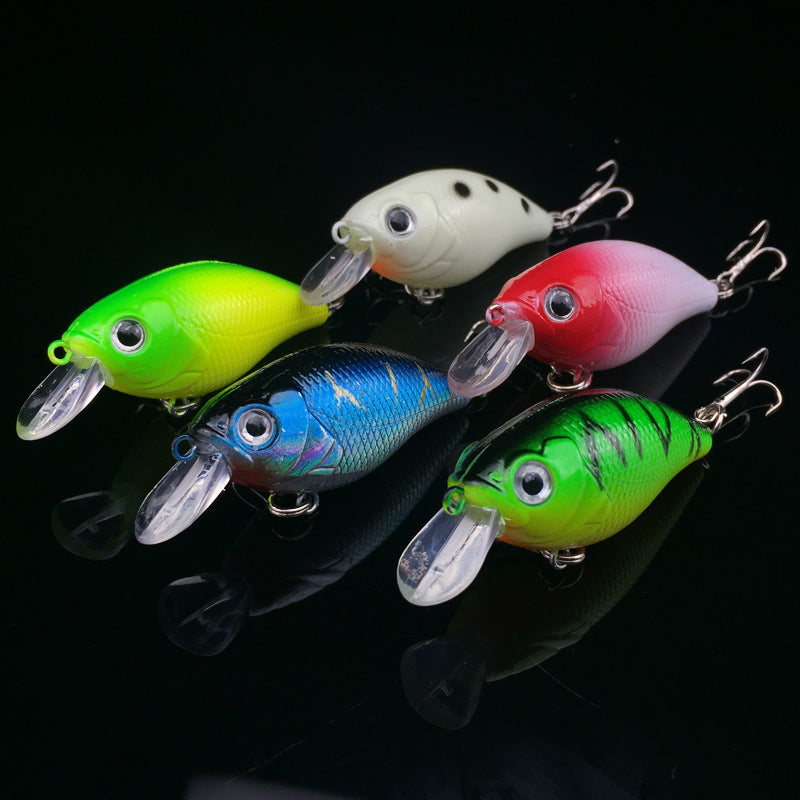 Premium 5- Piece Squarebill Crank Bait Lure Kit