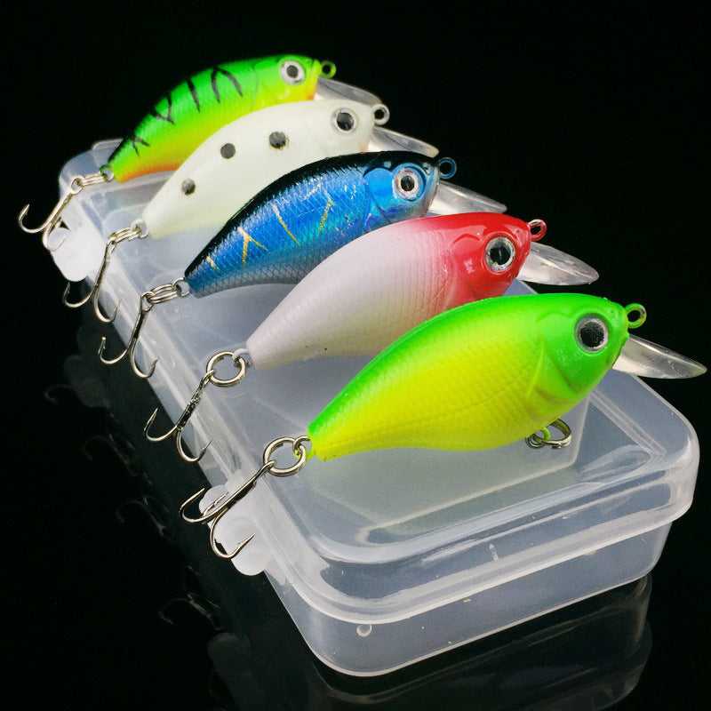 Premium 5- Piece Squarebill Crank Bait Lure Kit