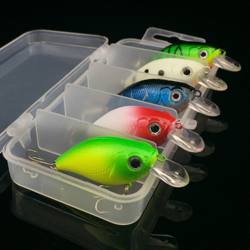 Premium 5- Piece Squarebill Crank Bait Lure Kit