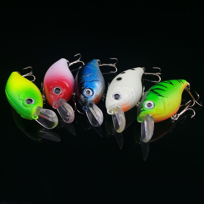 Premium 5- Piece Squarebill Crank Bait Lure Kit