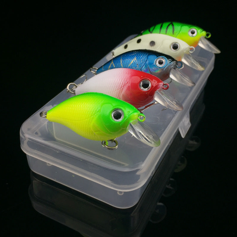 Premium 5- Piece Squarebill Crank Bait Lure Kit